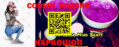 стафф Кингисепп