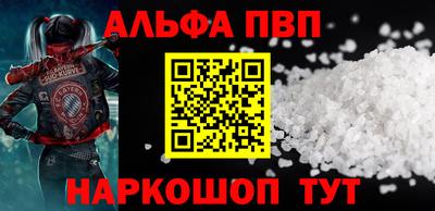 стафф Кингисепп