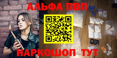 стафф Кингисепп