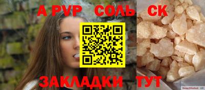 стафф Кингисепп