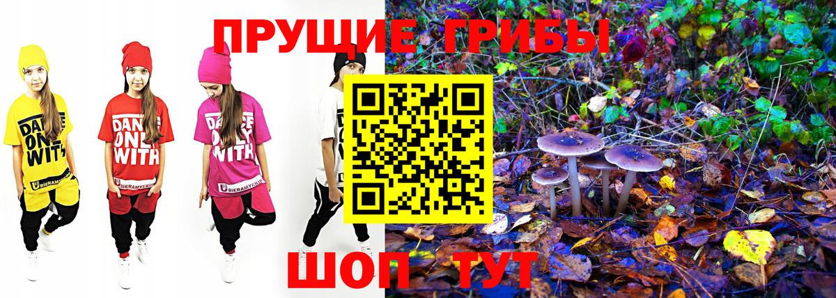 Псилоцибиновые грибы Cubensis  Псилоцибиновые грибы MAGIC MUSHROOMS  Клин  Вход с VPN 